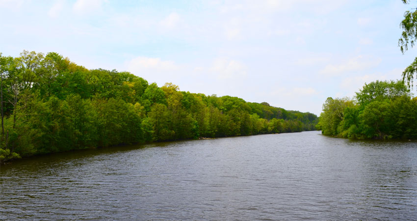 10 Reasons You Should Consider Moving to Ann Arbor, Michigan